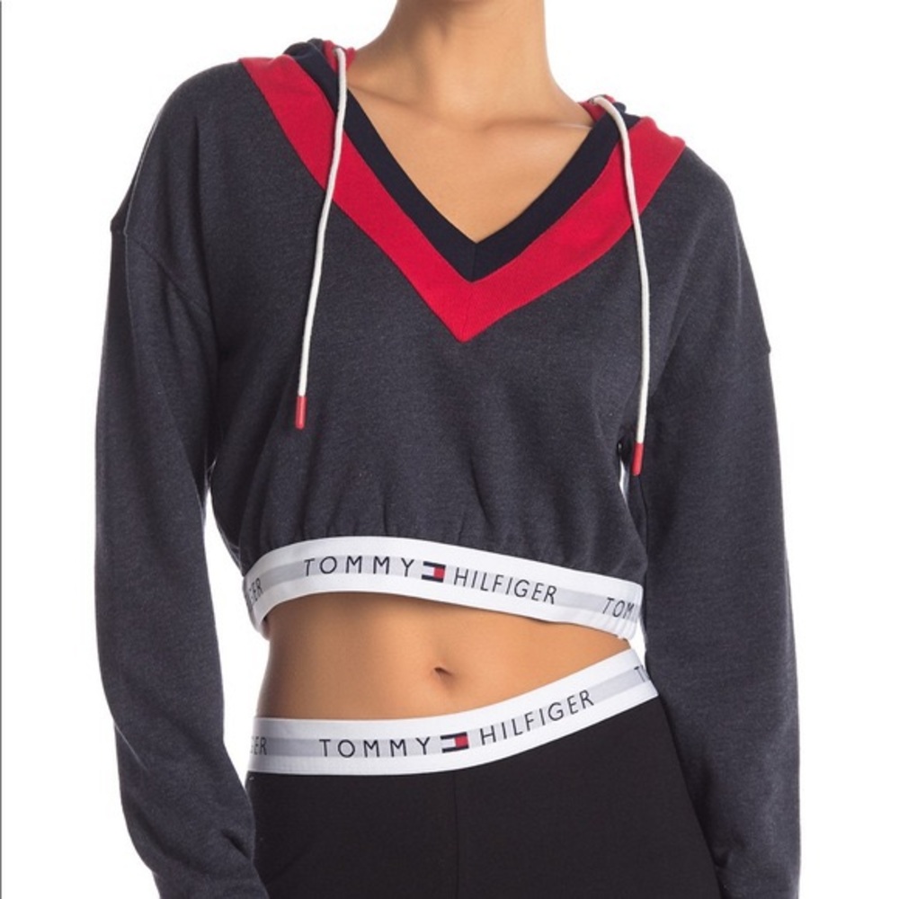 Tommy Hilfiger Cropped Retro Hoodie